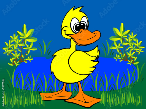 Illustration einer Ente - Vector