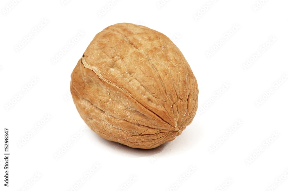 single walnut isolated on white background single walnut isolated on white background