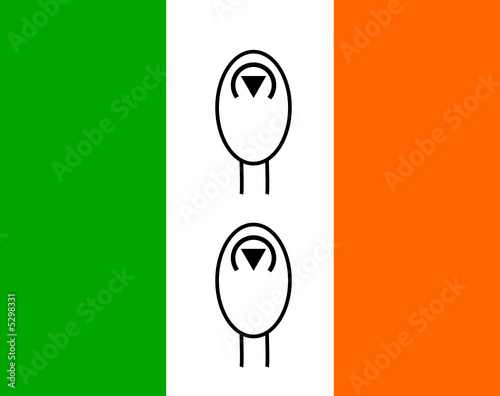 irlande moutons