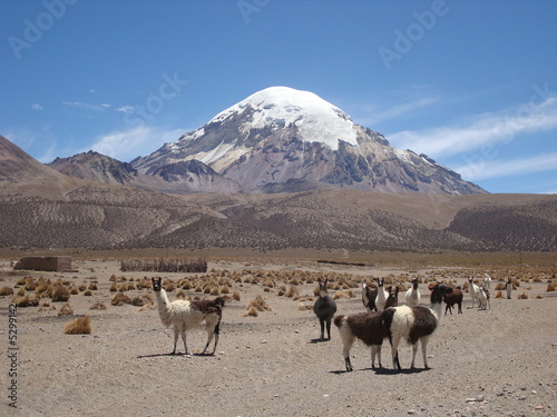 Sajama, volcan d'Amérique latine. photo