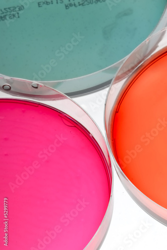 laboratoire