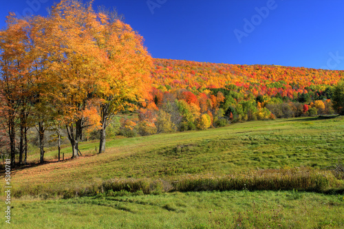Autumn Pennsylvania photo