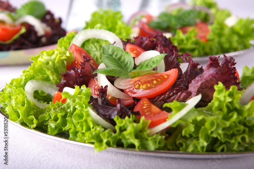 Fresh salad with onion, tomato and basil