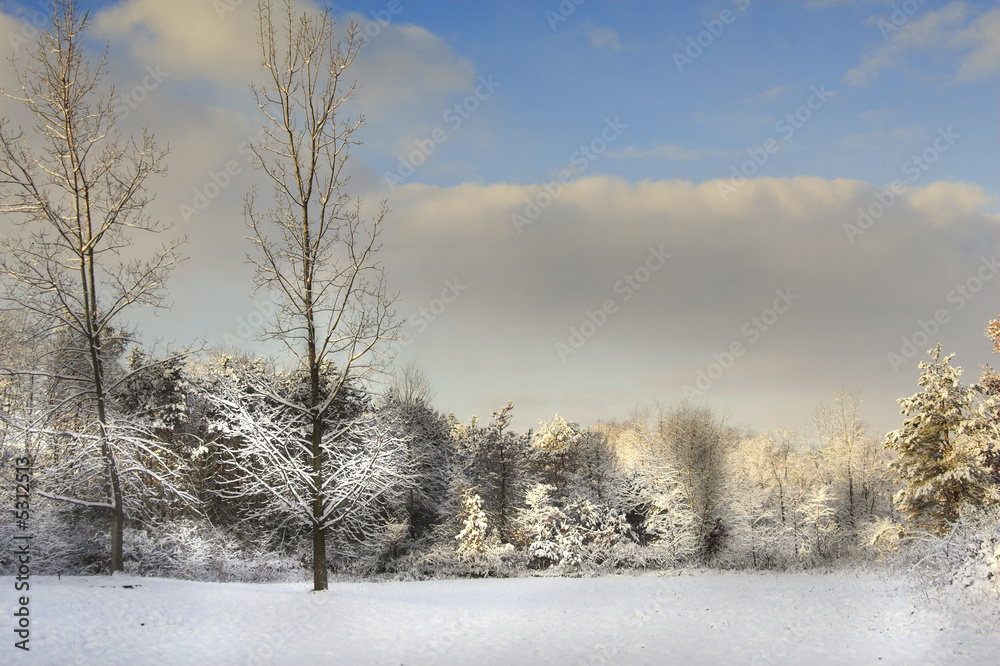 winter time winter time