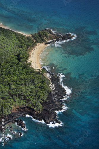 Hawaiian beach. © iofoto