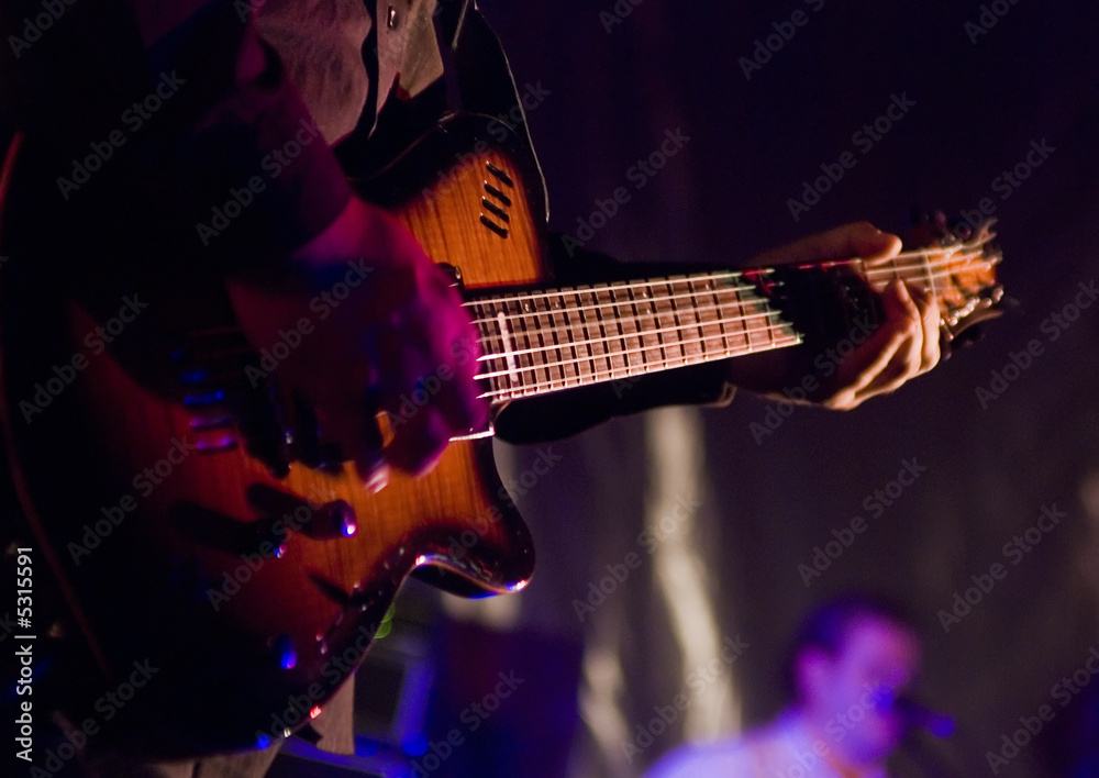 Obraz premium Musician with guitar