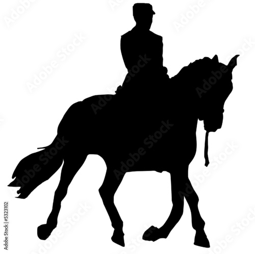 cavalier