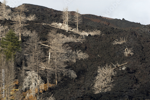 Lava vulcanica photo