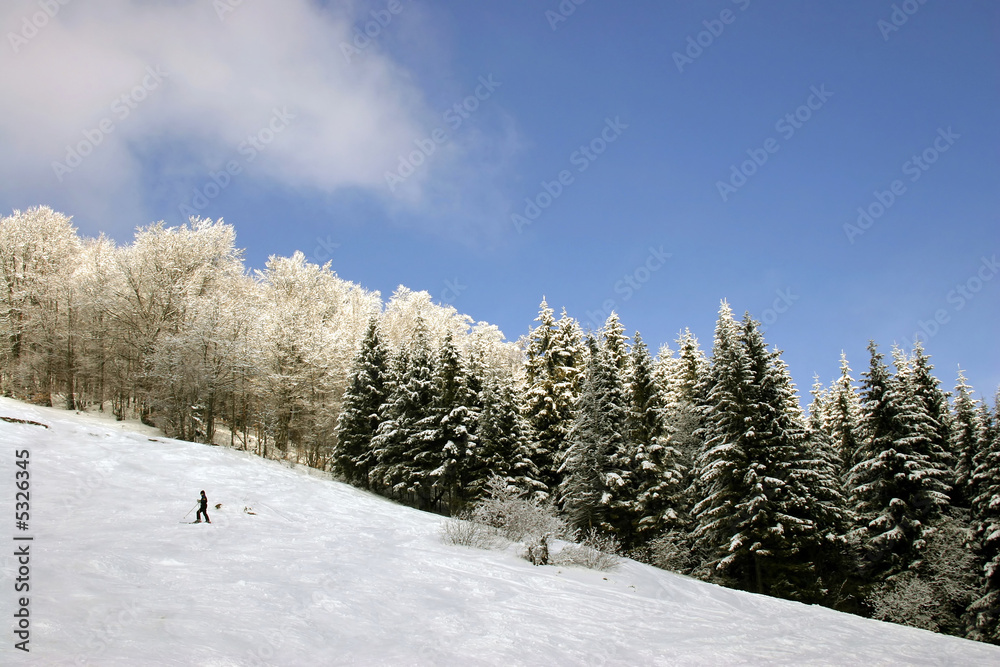Mountain landscape with skier