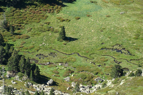 Tourbière,Rabassole,Ariège dans le sud de la france