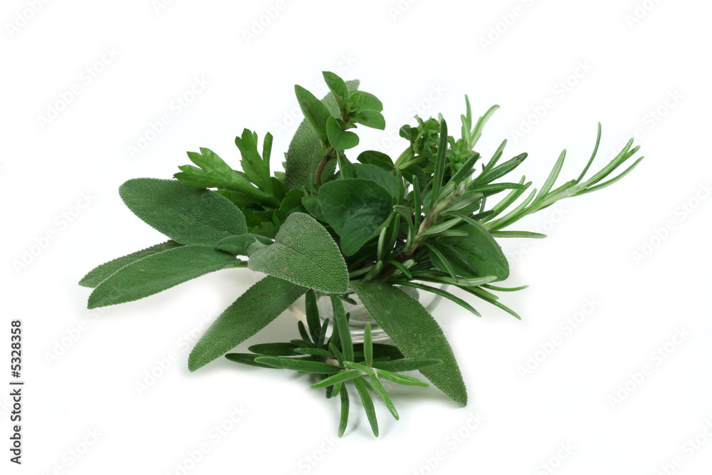 Obraz premium Aromatic herbs for cooking