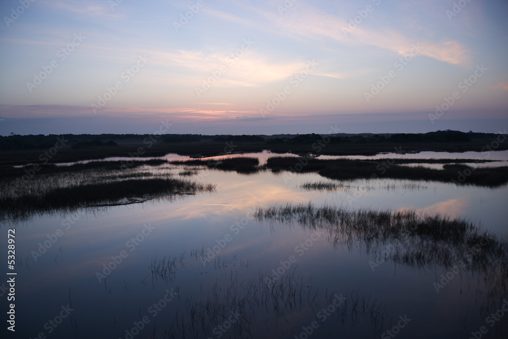 Sky reflecting in marsh.