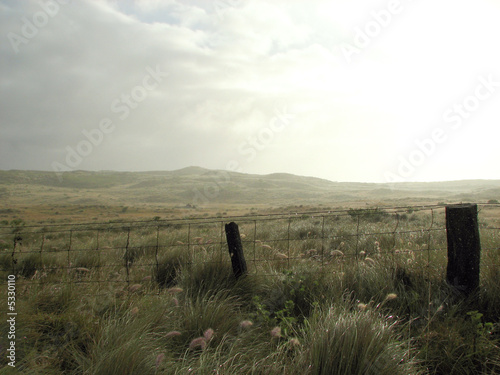 Hawaiian Field With Fence