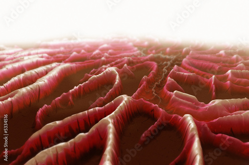 illustration of imaginary organic organism or cell 1