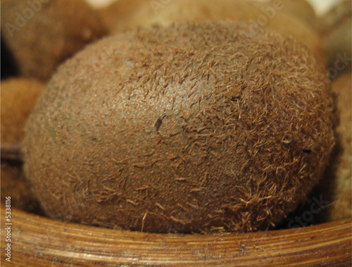 kiwi