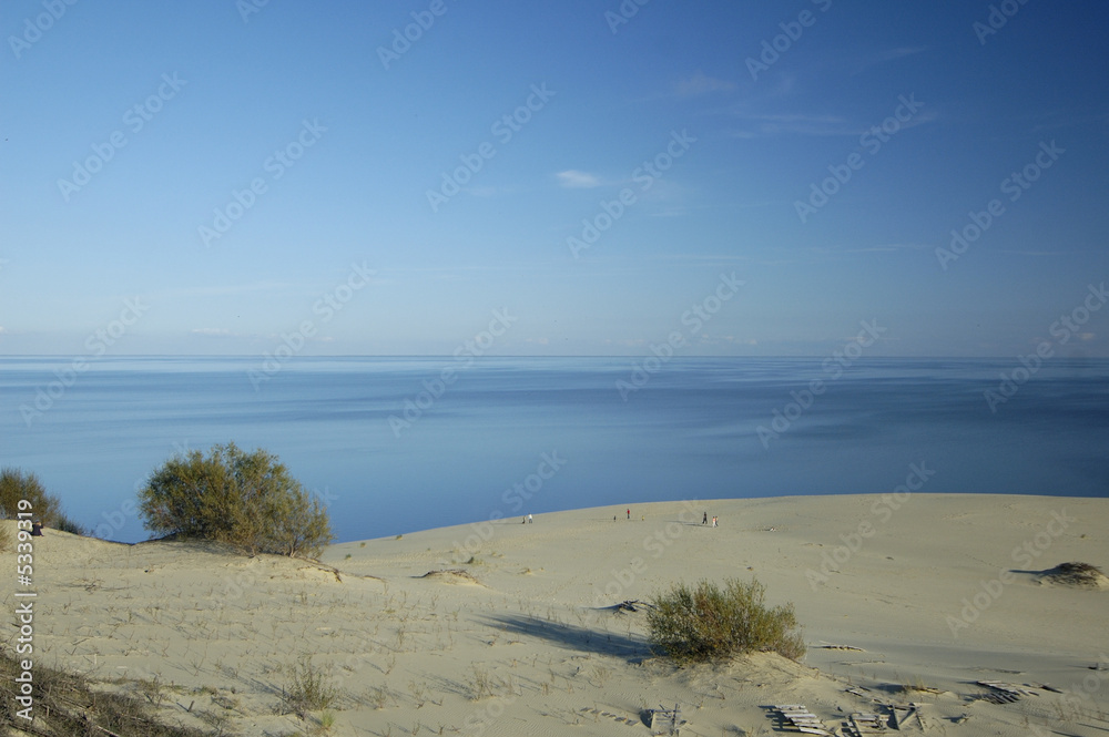 The sand dunes on Kurshskaya spit near Kaliningrad. Russia.