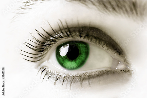 Green eye. Extreme close-up. High key.