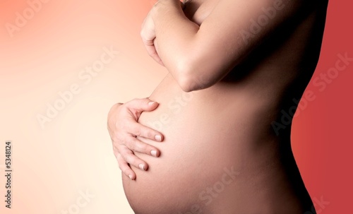 Wallpaper Mural pancia 6 Torontodigital.ca