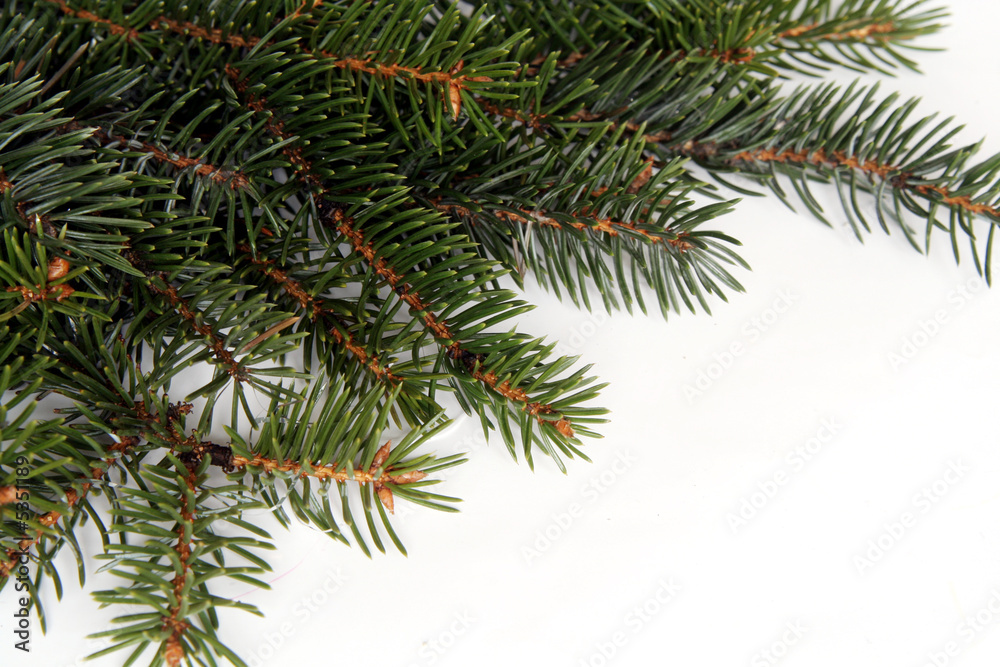 Christmas pine frame