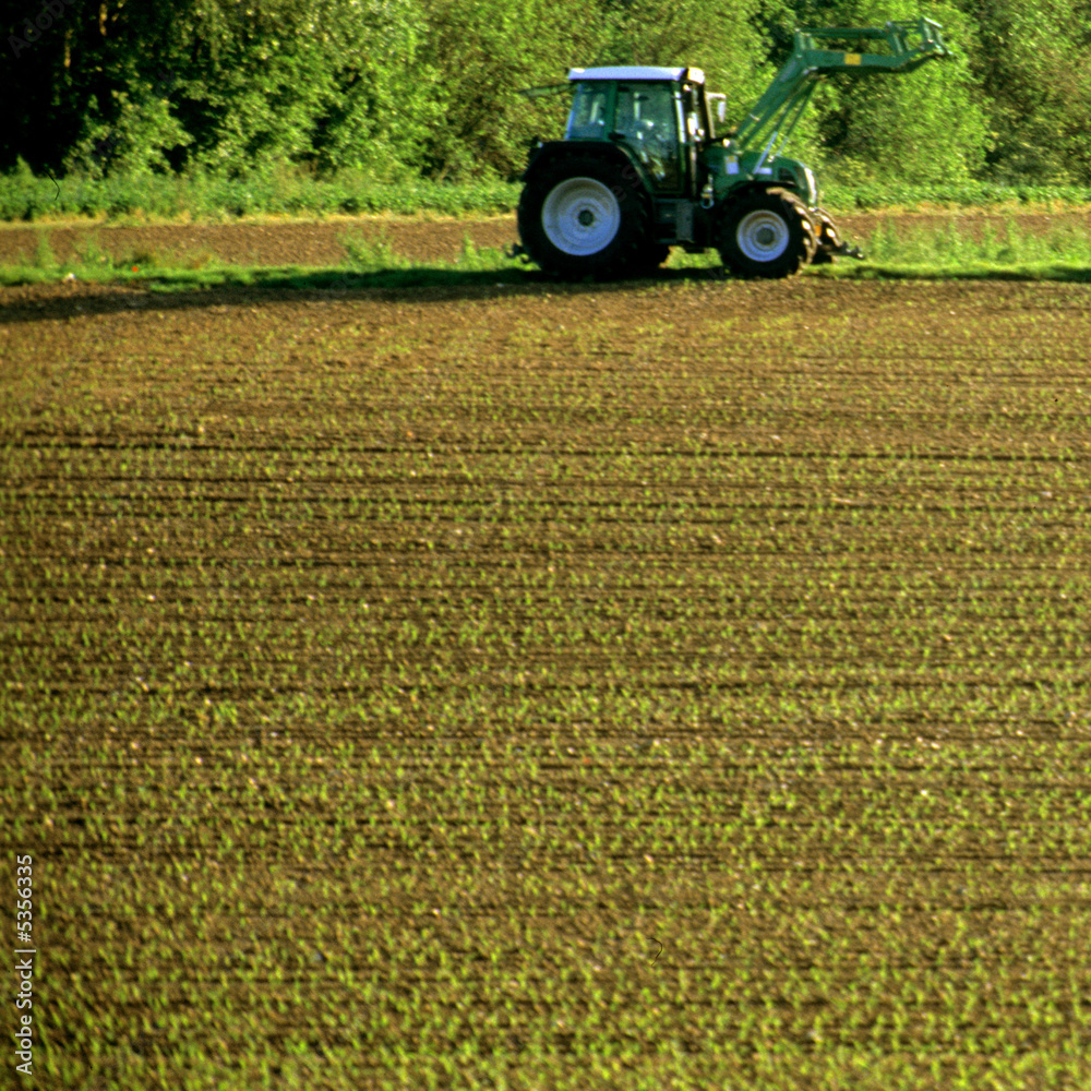 Fototapeta premium Traktor