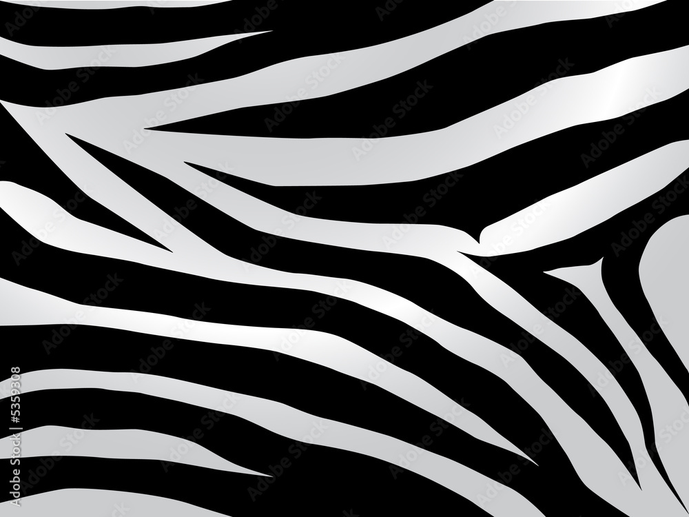 zebra design zebra design