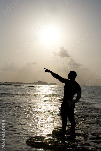 Silhouette of Man Pointing Next to the Ocean