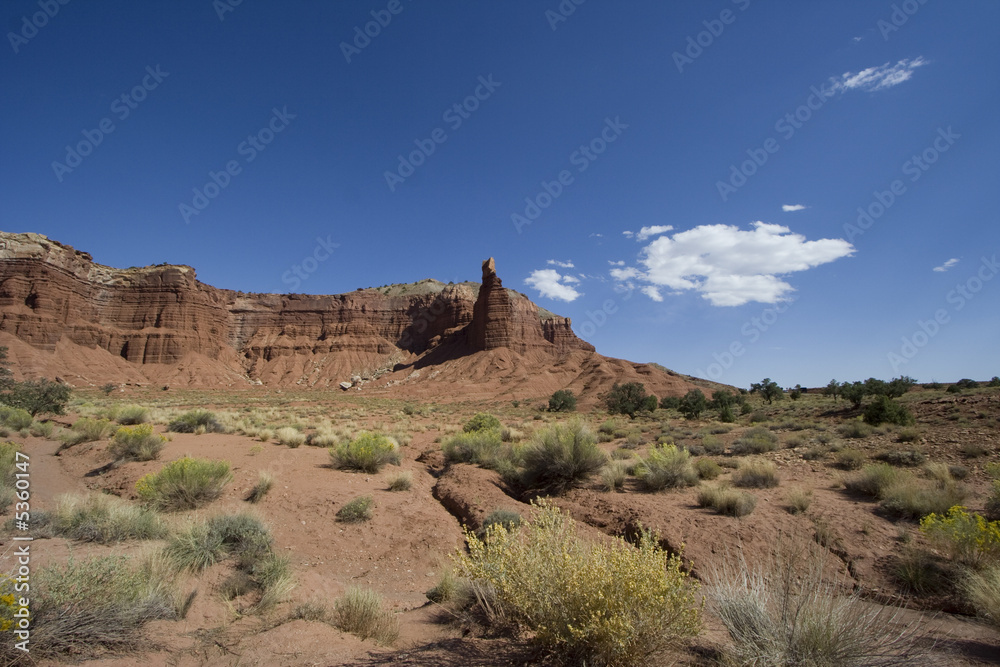 Capitol Reef National Park