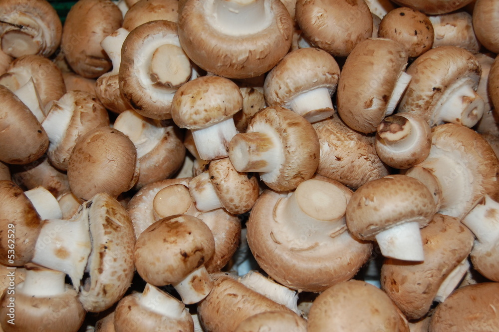 Champignons