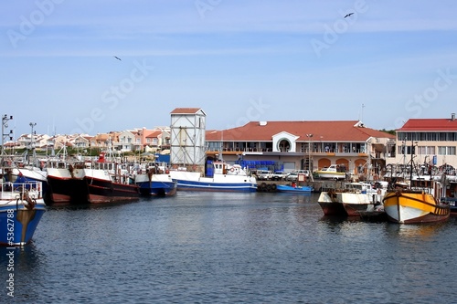 Fishing boats in a small harbor with buildings in the background