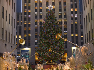 RC Tree and Angels