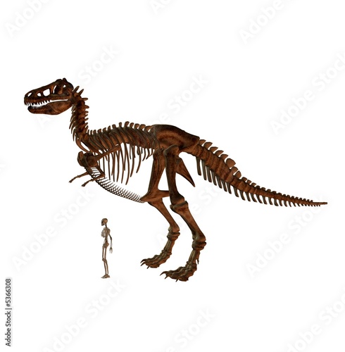 t-rex and man skeleton