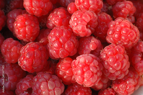Photography raspberries