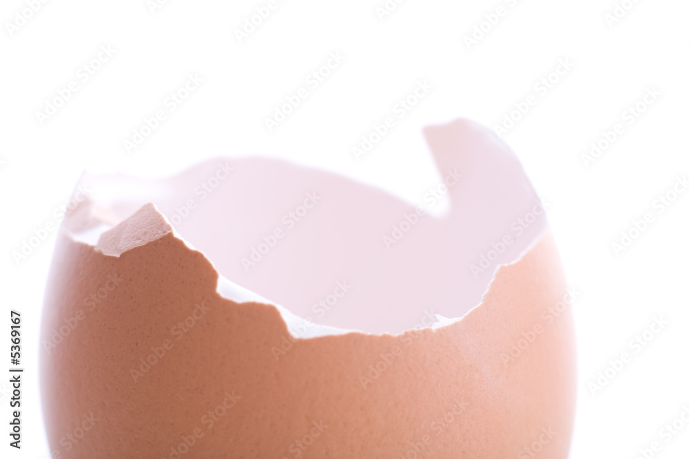 Fototapeta premium Eierschale vor weissem Hintergrund
