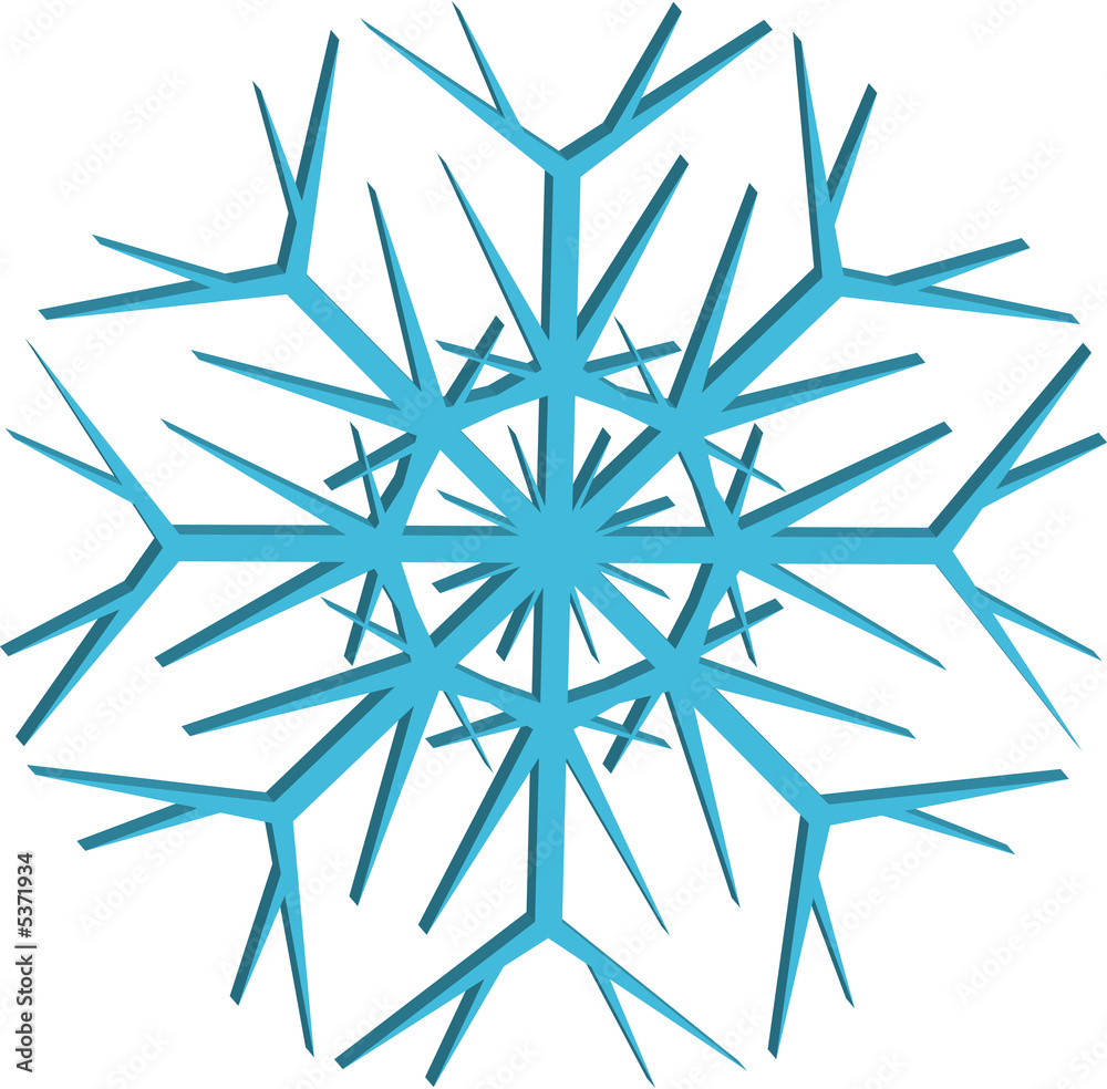 flocon de neige flocon de neige