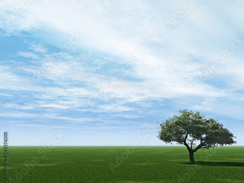 Alone tree and beautiful sky with clouds - 3d landscape scene.
