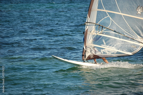 Windsurfer