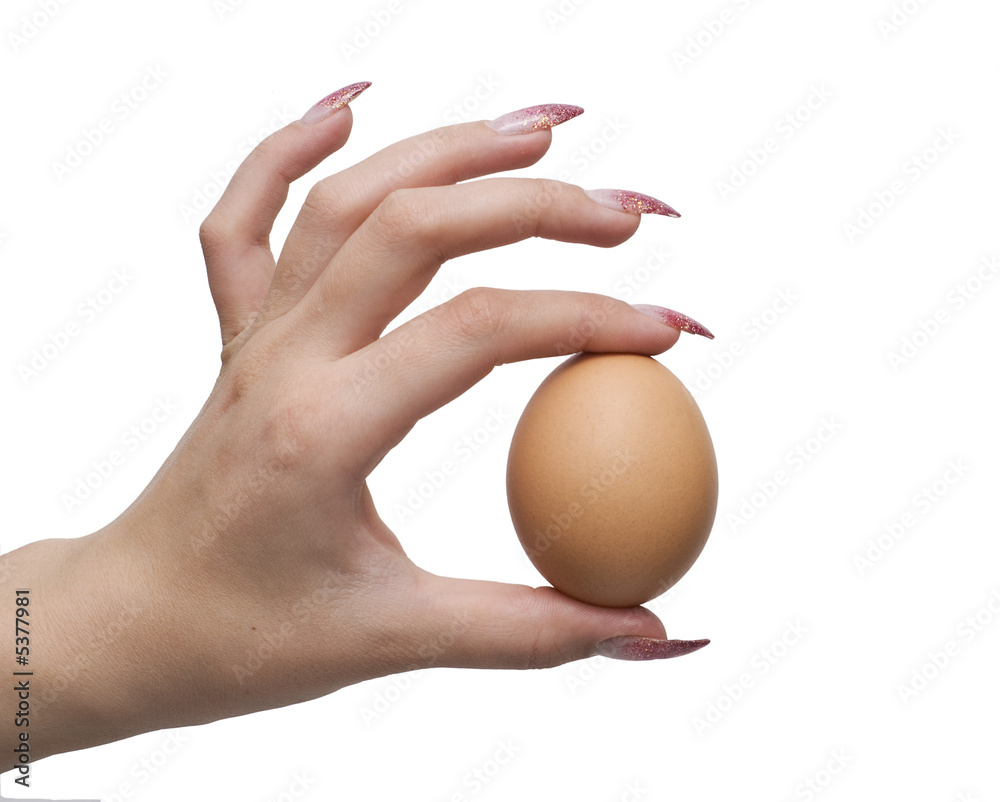 egg and hand isolated on a white background egg and hand isolated on a white background