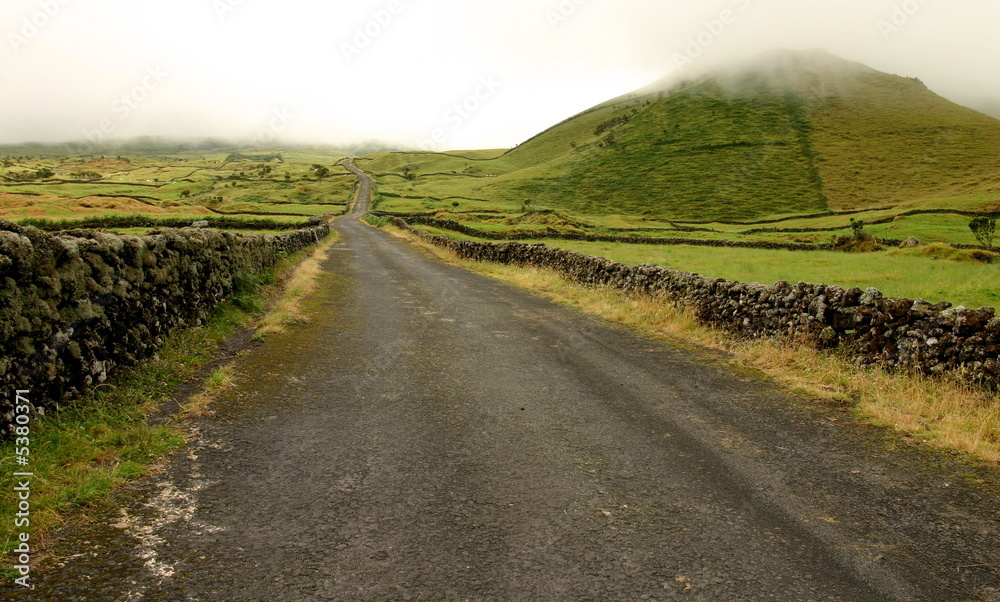 Fototapeta premium Foggy road