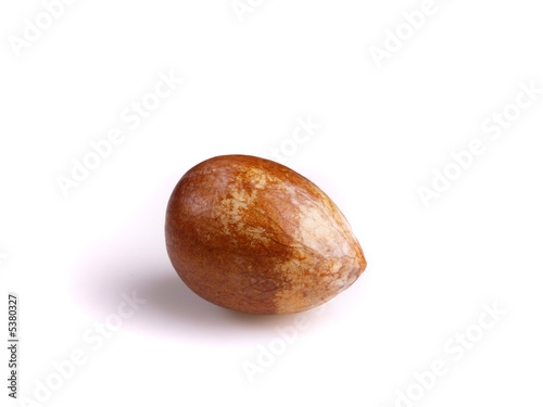 pit of avocado isolated on white background