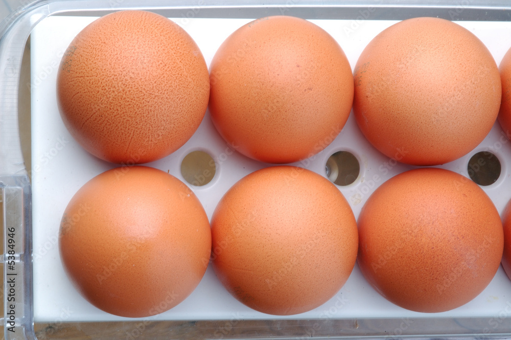 many egg in refrigerator many egg in refrigerator