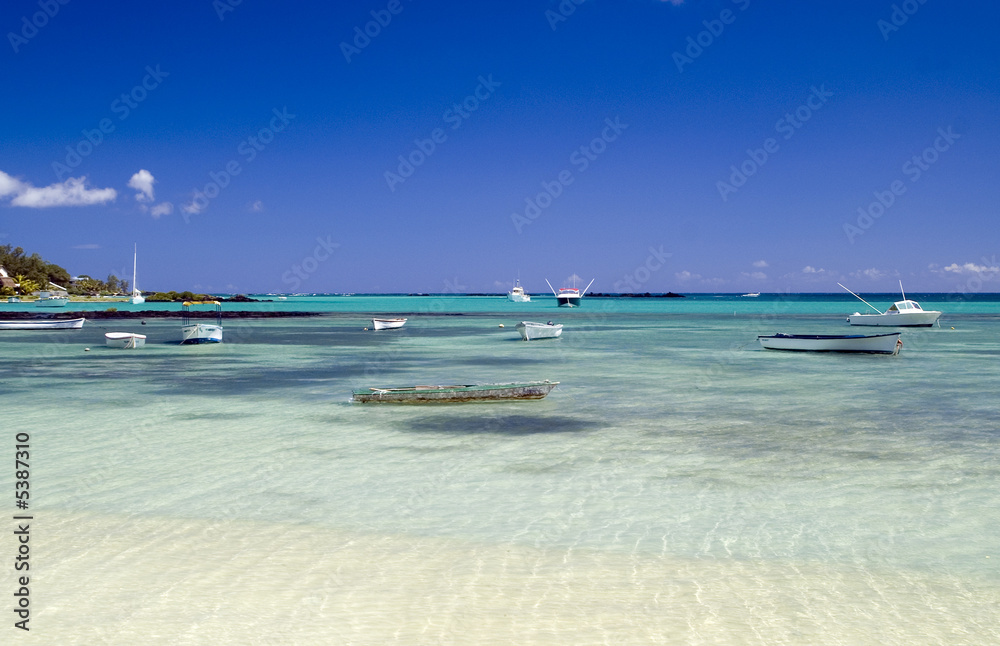 Fototapeta premium Tropique ile maurice