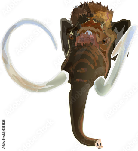 mammoth