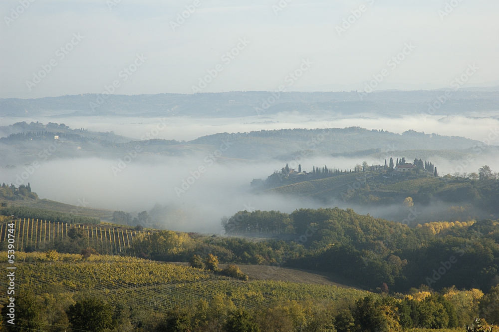 Obraz premium Les vignes du Chianti en Toscane