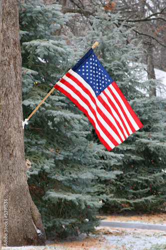 American flag in front of some christmas trees