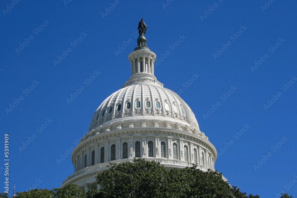Fototapeta premium Capitol & Trees