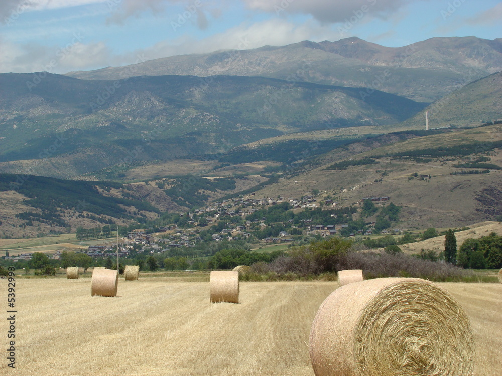 champ fauché et ballot de pailles en Cerdagne, Pyrénées orientales dans le sud de la France