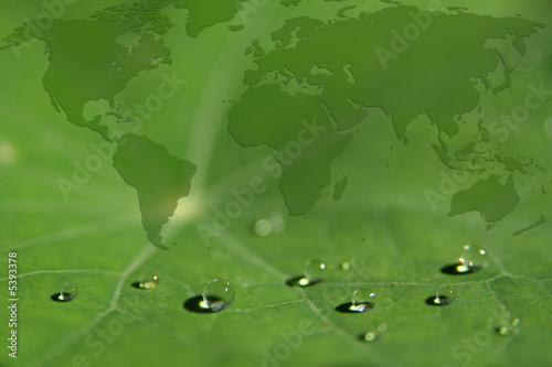 Concept for a green world