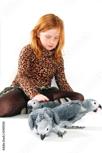 red tale parrot isolated on white with young girl photo