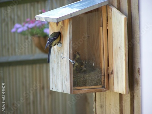 Bird house photo