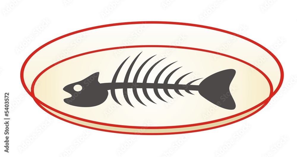 black and white fish skeleton on plate after food black and white fish skeleton on plate after food